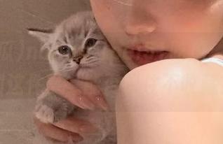 nanataipei51吃瓜：当你看到这件事，能否忍住不收藏？