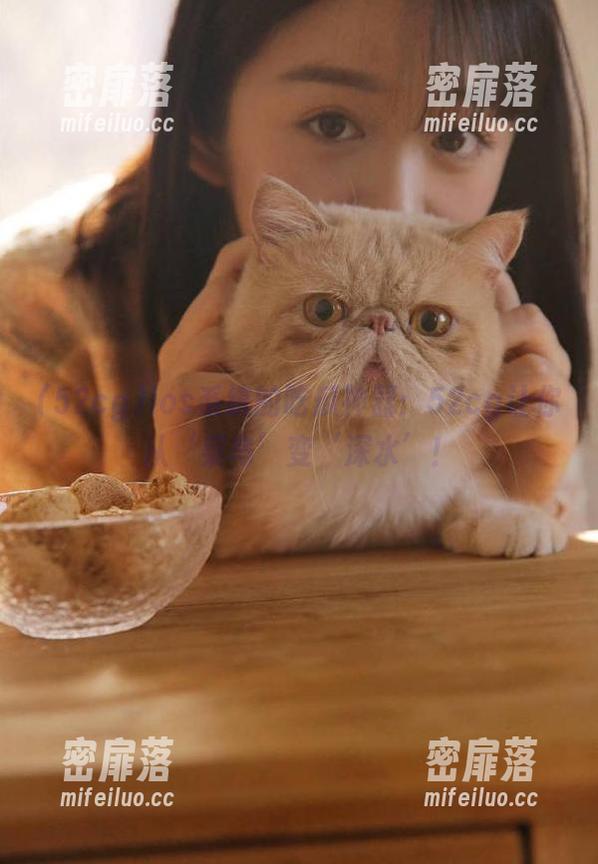 ios系统的吃瓜神器：52cg让你从‘菜鸟’变‘深水’！