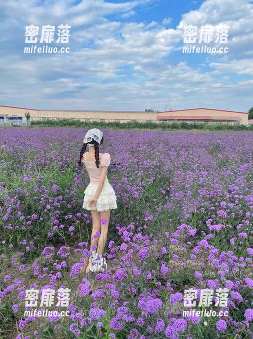 致所有好奇宝宝，吃瓜网红网的瓜汁最好地址就在这里！