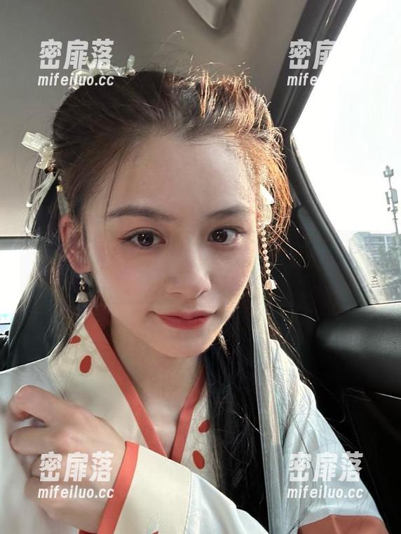 菜狗导盲棒：谁能共我导航黑哥扒料中的真相？