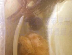 黑料正能量苹果版可以不可以别让我二选一？真是逼人！