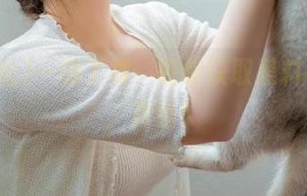 一键下载，轻松获取黑料社资源，真香！