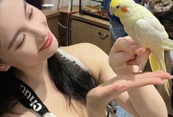 导航开启！黑料网在线那些不为人知的偷偷摸摸！
