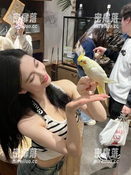 导航开启！黑料网在线那些不为人知的偷偷摸摸！